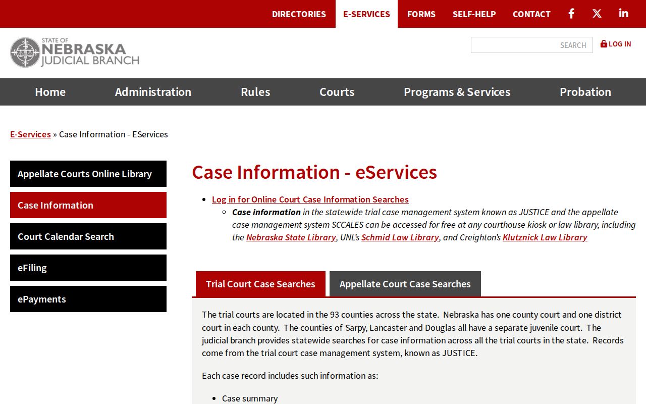 Holt County case lookup public case information access