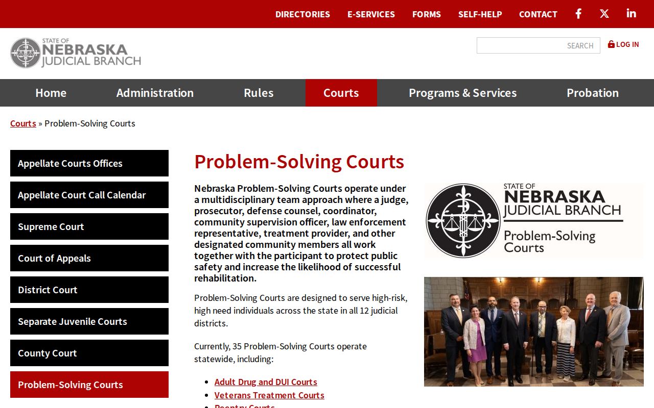 Holt County criminal docket problem-solving court program information