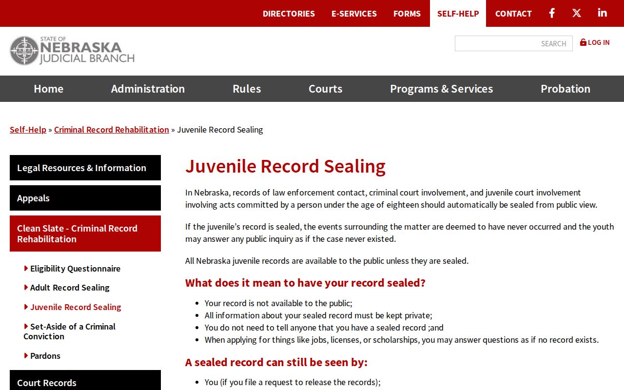 Holt County criminal docket juvenile record sealing guidance